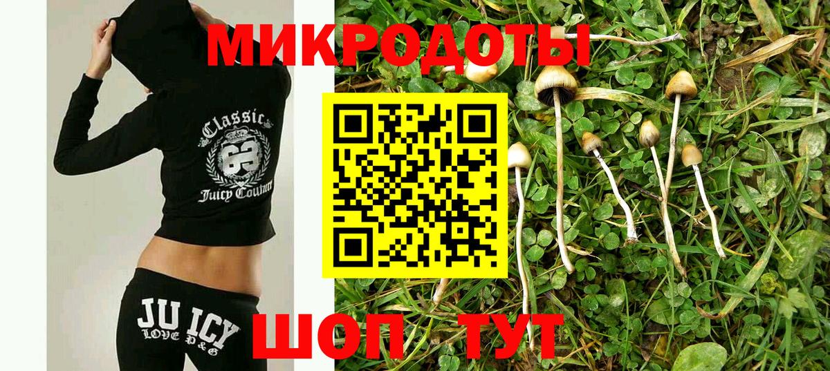 Галлюциногенные грибы Psilocybe Верхний Уфалей